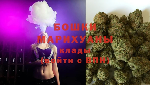 шишки Покров