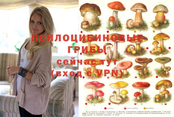 ГАЛЛЮЦИНОГЕННЫЕ ГРИБЫ Приозерск