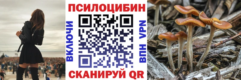 Галлюциногенные грибы Cubensis  Кольчугино 