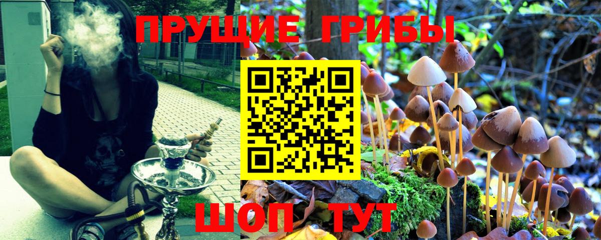 Псилоцибиновые грибы MAGIC MUSHROOMS  Вход с VPN  Галлюциногенные грибы Psilocybe  Кольчугино 