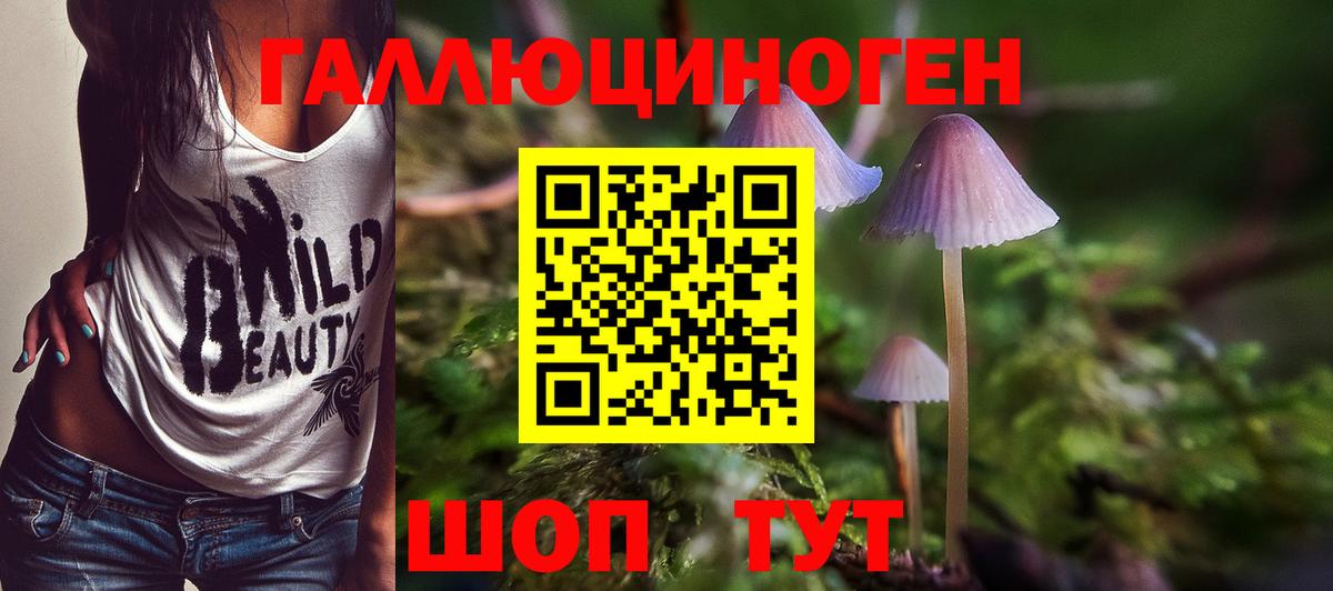 Галлюциногенные грибы Psilocybine cubensis  Кольчугино  Псилоцибиновые грибы MAGIC MUSHROOMS 